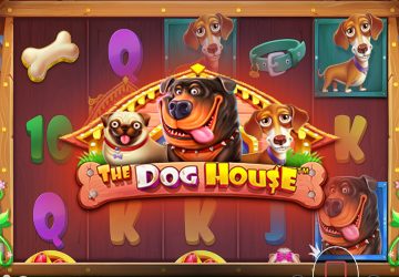 Слот The Dog House в Mellstroy Casino